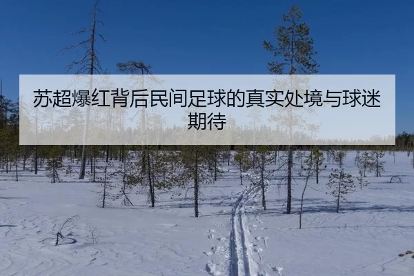 苏超爆红背后民间足球的真实处境与球迷期待